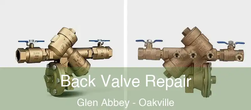  Back Valve Repair Glen Abbey - Oakville