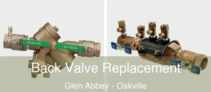  Back Valve Replacement Glen Abbey - Oakville