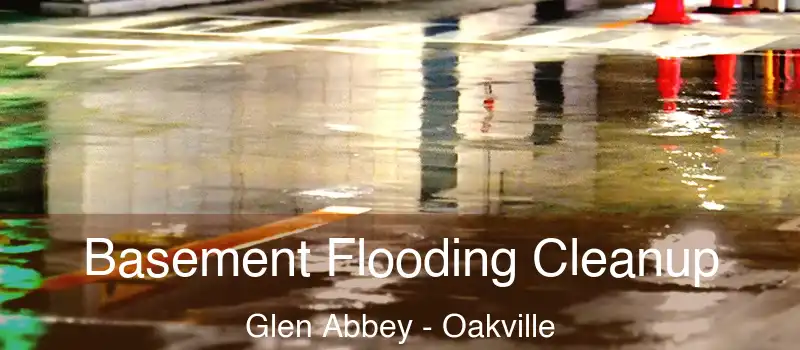  Basement Flooding Cleanup Glen Abbey - Oakville