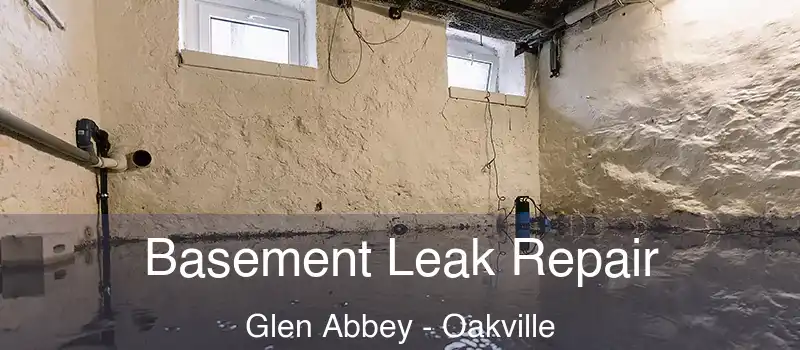  Basement Leak Repair Glen Abbey - Oakville