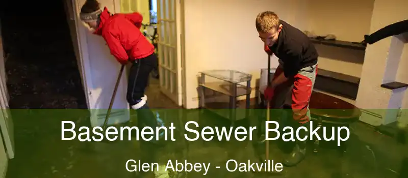  Basement Sewer Backup Glen Abbey - Oakville