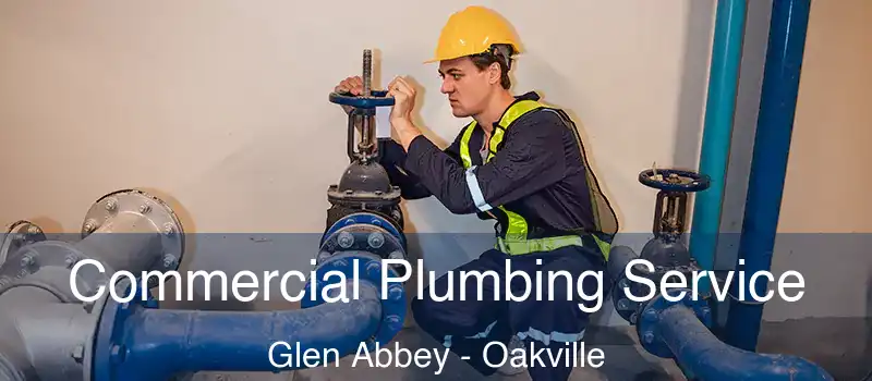  Commercial Plumbing Service Glen Abbey - Oakville