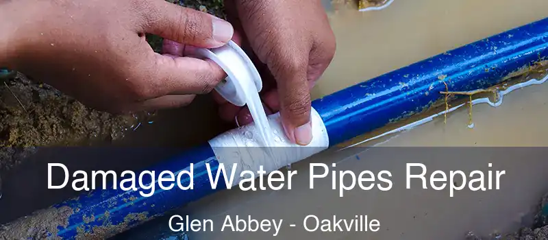  Damaged Water Pipes Repair Glen Abbey - Oakville