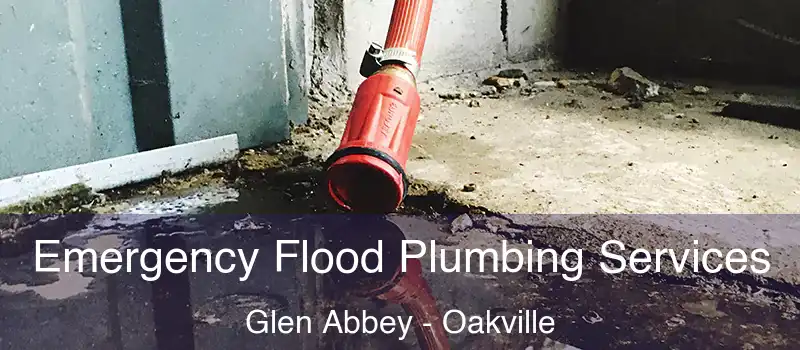  Emergency Flood Plumbing Services Glen Abbey - Oakville