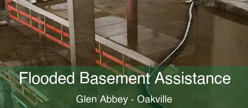  Flooded Basement Assistance Glen Abbey - Oakville