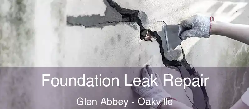  Foundation Leak Repair Glen Abbey - Oakville