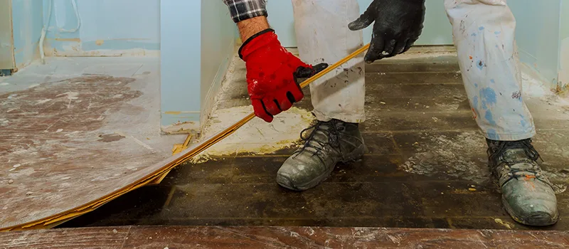 Cost Of Flooded Basement Cleanup in Glen Abbey, Oakville