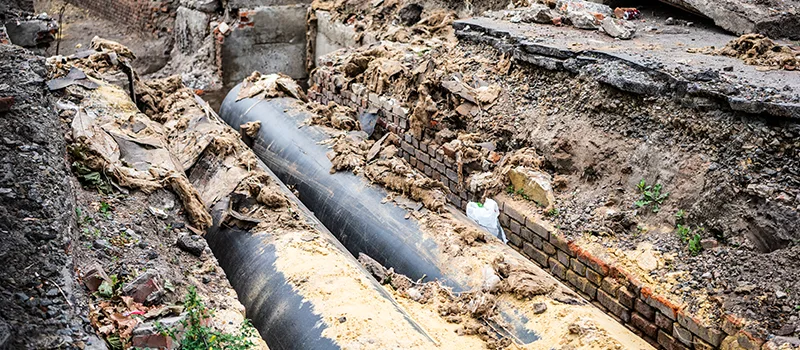 Commercial Sewer Tree Roots Damage Solutions in Glen Abbey, Oakville