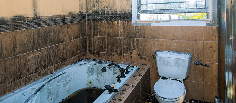 Residential Water Damage Restoration in Glen Abbey, Oakville