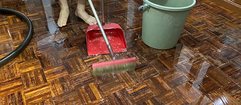 Water Removal And Restoration Services in Glen Abbey, Oakville