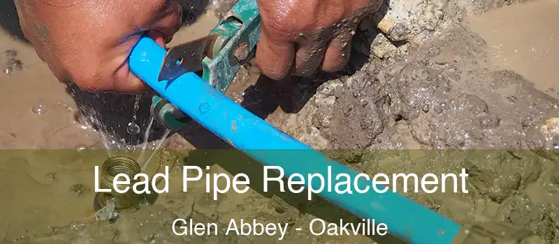  Lead Pipe Replacement Glen Abbey - Oakville
