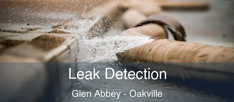  Leak Detection Glen Abbey - Oakville