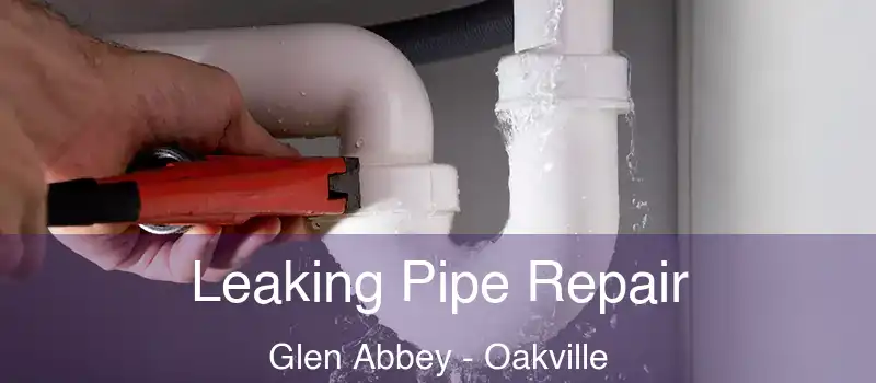  Leaking Pipe Repair Glen Abbey - Oakville