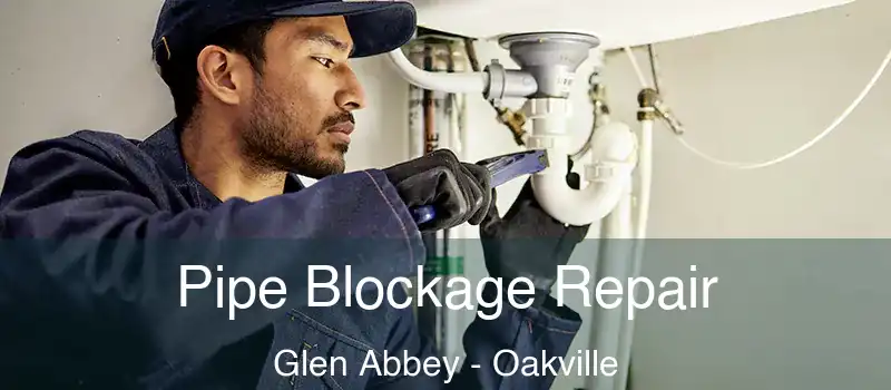  Pipe Blockage Repair Glen Abbey - Oakville