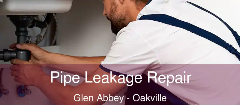  Pipe Leakage Repair Glen Abbey - Oakville