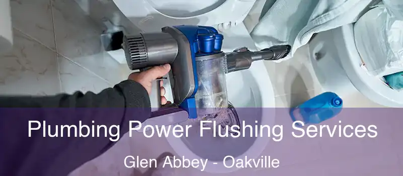  Plumbing Power Flushing Services Glen Abbey - Oakville