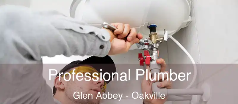  Professional Plumber Glen Abbey - Oakville