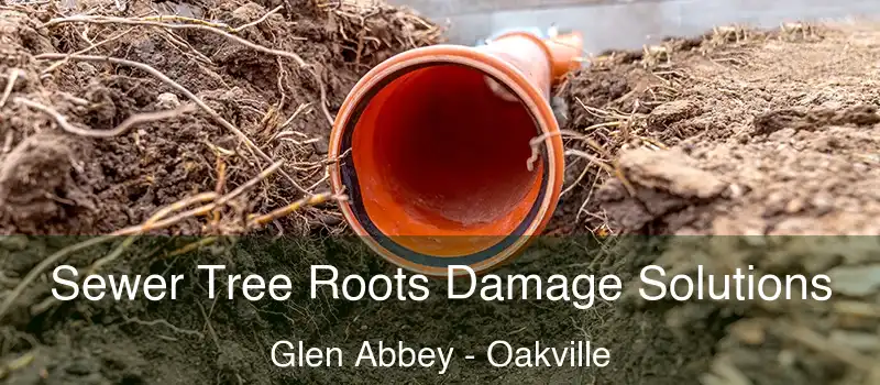  Sewer Tree Roots Damage Solutions Glen Abbey - Oakville