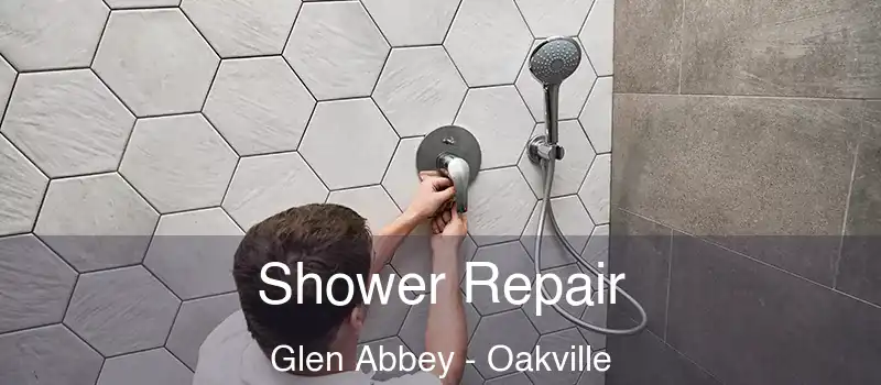  Shower Repair Glen Abbey - Oakville