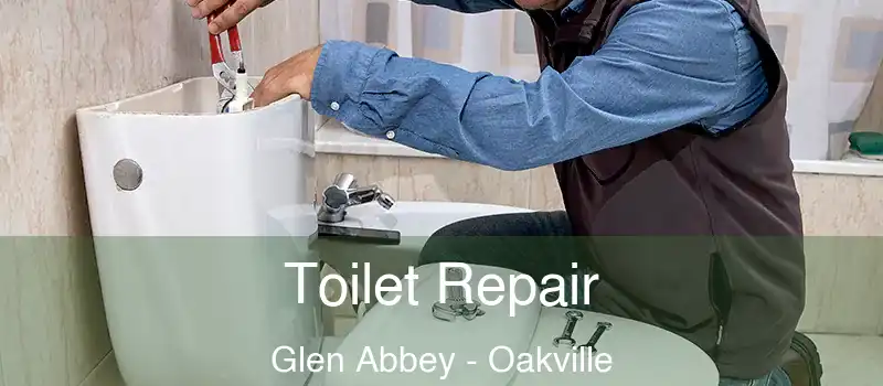  Toilet Repair Glen Abbey - Oakville