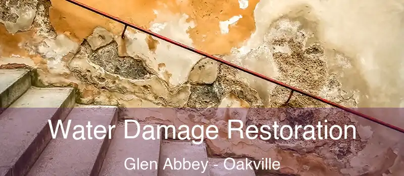 Water Damage Restoration Glen Abbey - Oakville