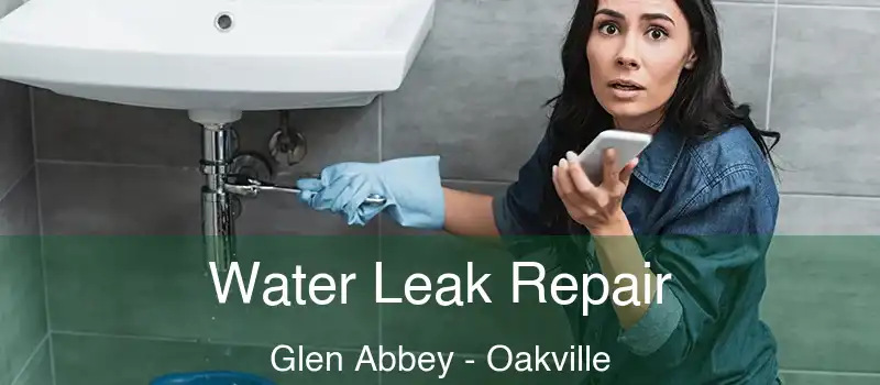  Water Leak Repair Glen Abbey - Oakville