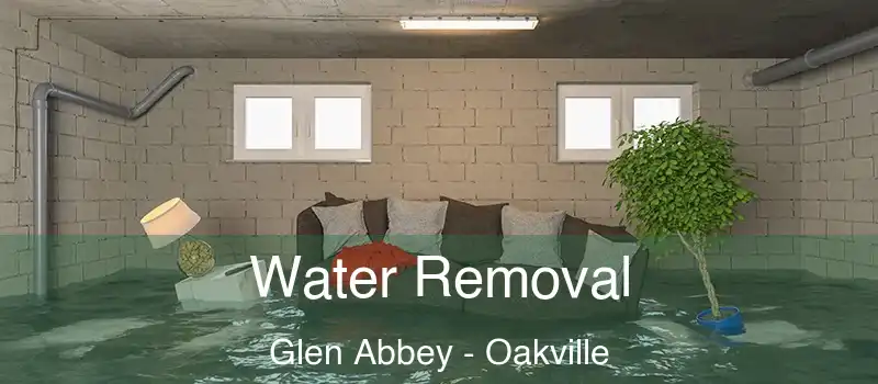  Water Removal Glen Abbey - Oakville